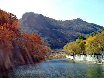 天天彩好彩天天免费，煤焦油价格